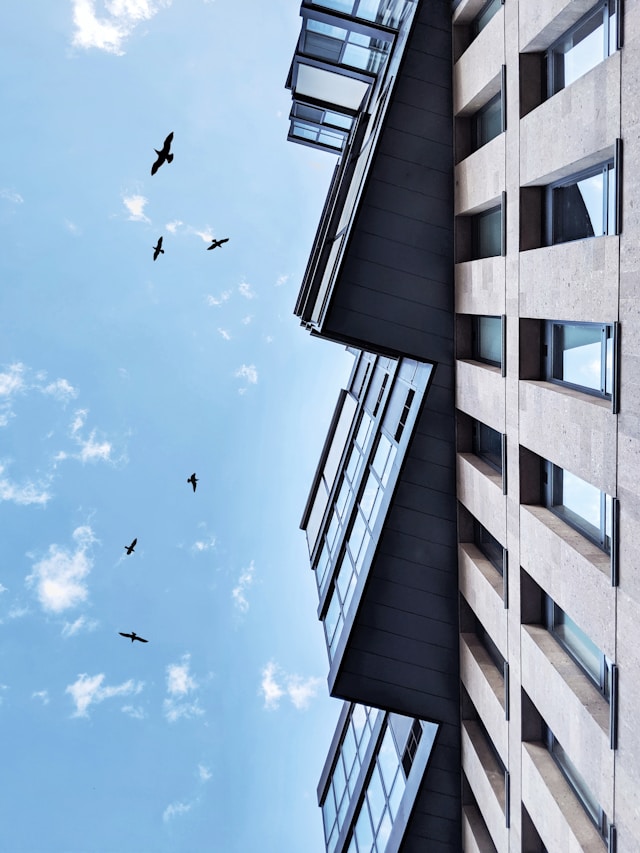 alexandr-hovhannisyan-OIVvwDIvmsk-unsplash